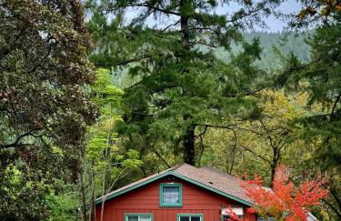 Avenue of the Giants Caraway Cottage (#3) - Foto 36