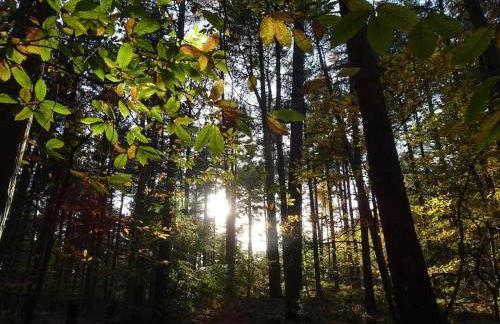 The Patch at Snettisham Beach - Foto 63