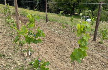 luxury villa Arianna - Foto 23