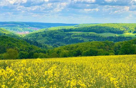 Ferienwohnung am Kappenturm - Foto 4