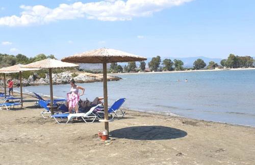 Cottage Leonidas Sun&Art - Foto 8