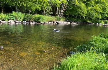 Lakeside Lodge 84 - Photo 25