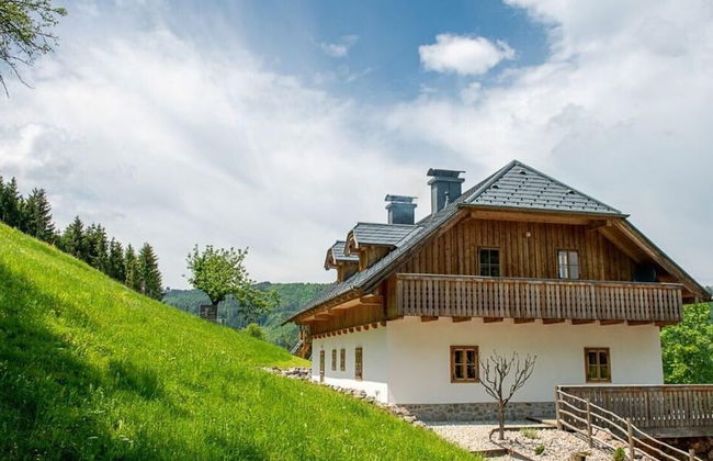 Infanglalm "attersee" - Foto 31