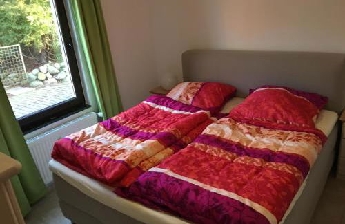 Haus-Deichläufer - Foto 11