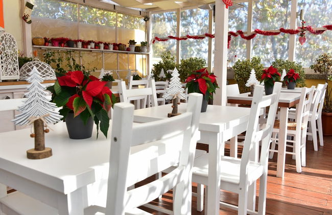 QuodLibet - Photo 23