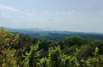 Vinea holiday home - Foto 18