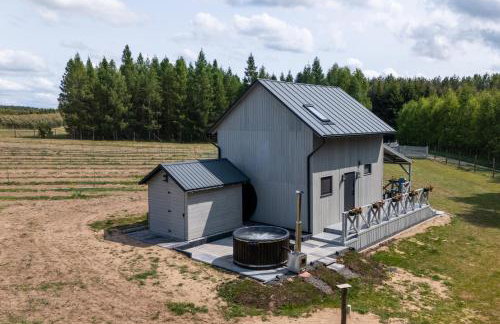 Okno na winnicę - Foto 47