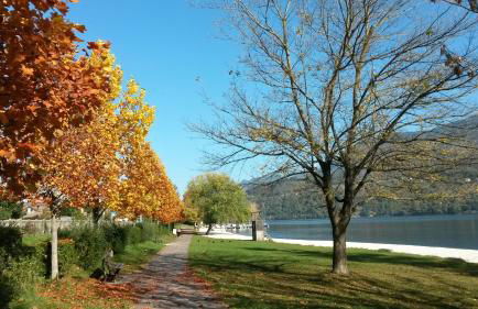 Casa Ferrari Monica - Foto 39