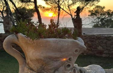 Villa Colina Ibiza - Photo 28