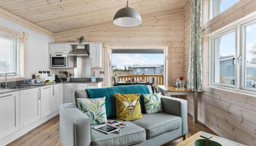 Croftner, Great Field Lodges - Hot Tub, Free WiFi & parking - Foto 4, stove, dishwasher