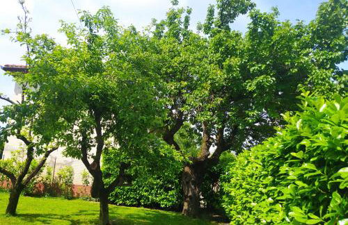 Casa vacanza "A Castelfranco d'Oglio" - Foto 26