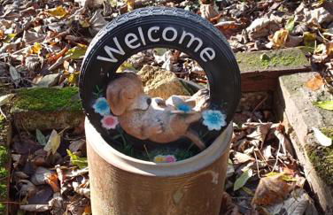 Gîte l'Olivianne - Foto 10