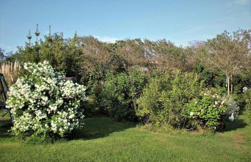 Gites le Pimayon - Foto 69