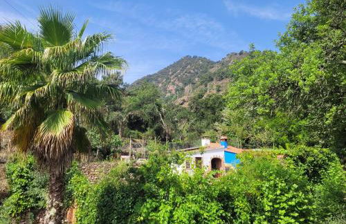 Trocito de Paraíso en la Sierra Espadán - Foto 46