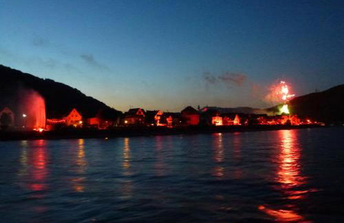 Ferienwohnungen im Moseltal - Foto 43