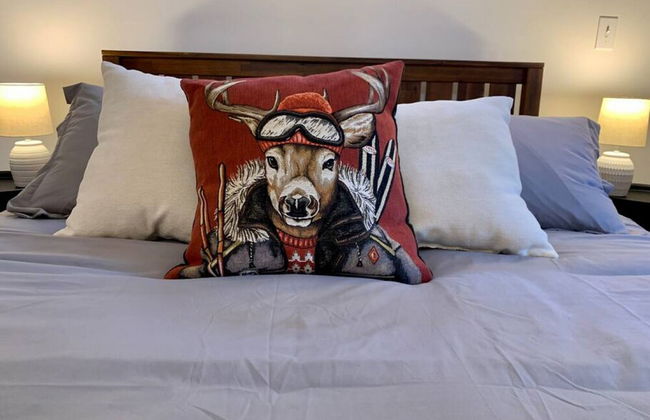 Back House Twin Cabin Ii-hot Tub Fireplace Hiking Retreat - Foto 23