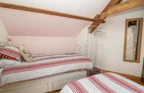 Felin Iago - Foto 15