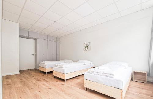 Tolstov Apartments - City Center Apartments with 5 Rooms - 10 Min Messe DUS - Foto 19