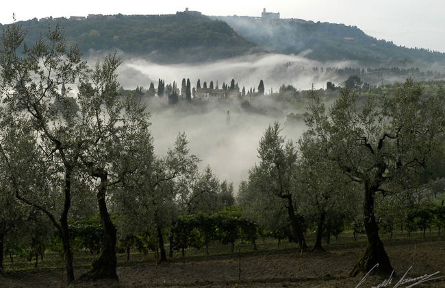 Villa Caggio - Foto 63