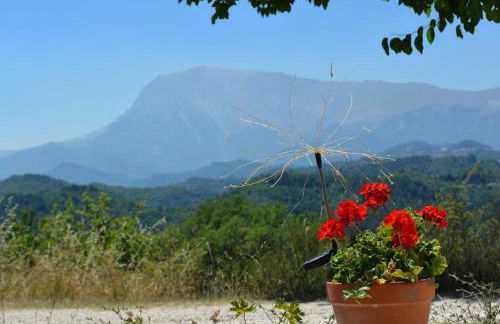 Casa Flori & Leonardo's Country House - Foto 16