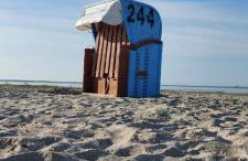 Plüschmors - Photo 21