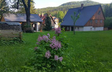 Am Waldessaum - Foto 13