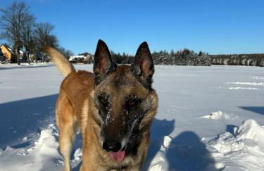 Ferienwohnung Waldblick mit Sauna - Foto 20