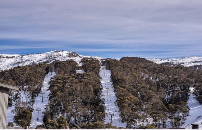 Nanook Thredbo Squatters Run - Photo 40