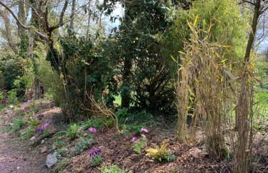 Le Pré Aux Loups - Foto 37