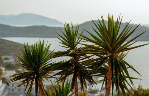 Villa Mirabilis - Foto 62