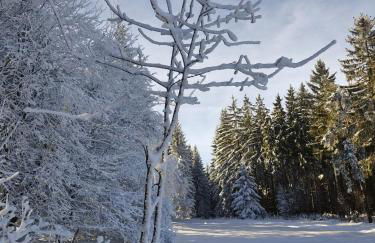 Gasthaus Piesau - Thüringer Wald - Rennsteig - Foto 74
