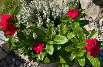 Holiday Home Tor der Berge - Hütte Wolf by Interhome - Foto 51