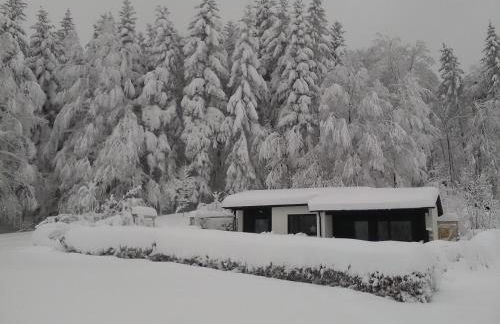 Ferienhaus Waldidyll - Foto 14