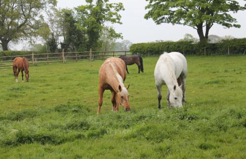 The Jockey Room Hideaway - Foto 21