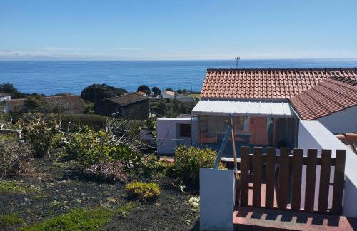 Lobo do Mar - Photo 3