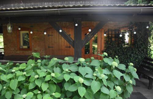 Gosciniec Pod Debem - Foto 41