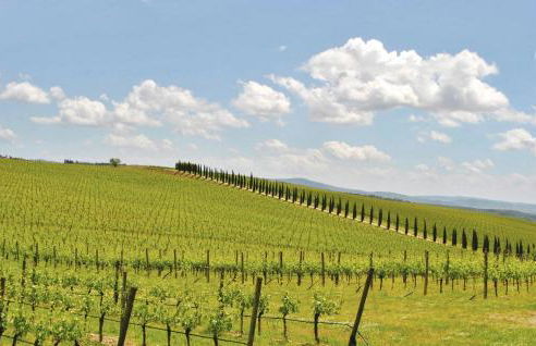 Awesome Apartment In Il Ferrone - Foto 21