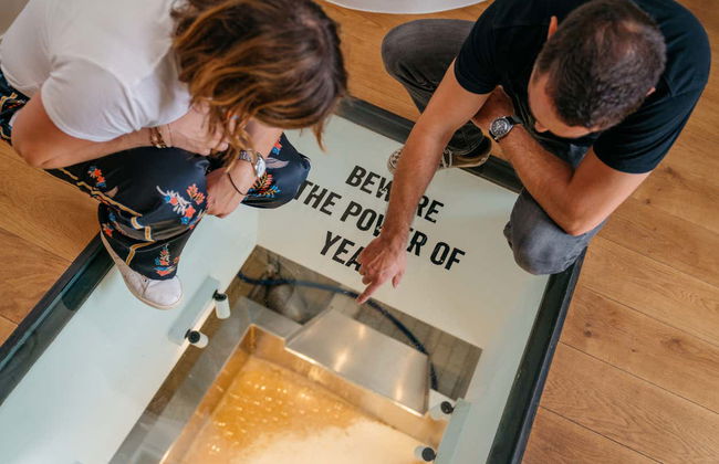 Entrada a la fábrica de cerveza Bourgogne des Flandres - Foto 5