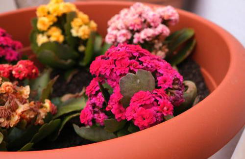 Sunset Beach House Buggerru - Foto 33