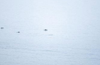 NEW! Stunning 2 Bed Beach Front Penthouse Apartment - Topaz, Compass Point - Foto 56