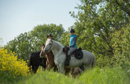 Luxus-Ferienhaus auf Reiterhof ART.Quartier - Foto 19