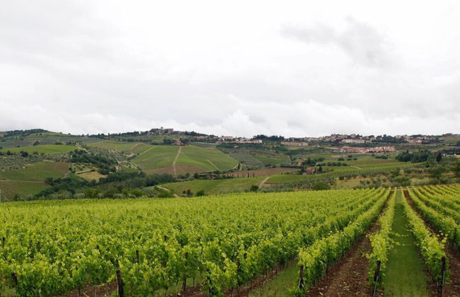 Podere il Poggiolo - Photo 57