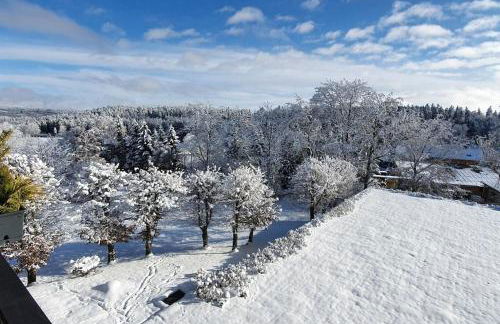 Black Forest Bergliebe Pool Terrasse Natur Ruhe Komfort - Foto 22