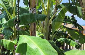 Casa SERENAS, a 5 minuti dal mare con parcheggio, clima e tutto il necessario per la tua vacanza in relax - Foto 48