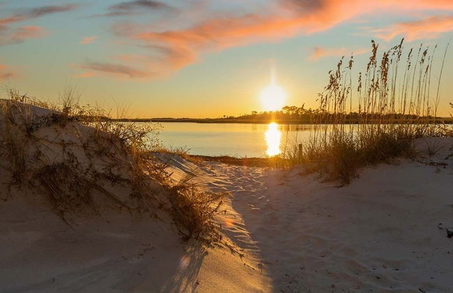 Gull Cottage - Foto 23