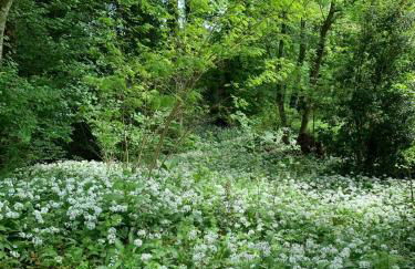 La villa Hortense - Foto 25