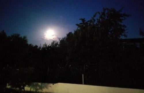 CHRISTOS Apartments - Foto 14