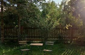 Widny Jaś zaprasza z psem nad jezioro na Kaszubach - Foto 8