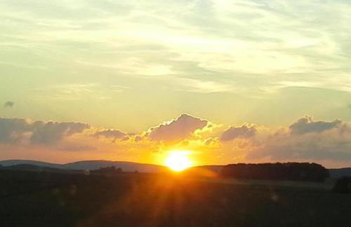 Naturrefugium bei Willingen - Foto 37