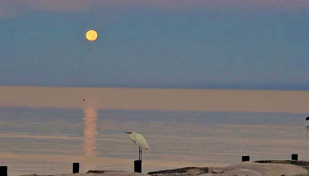 Maya Full Moon Ceremony - Foto 5